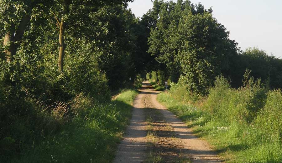 Alter bahndamm Hotel Zum alten Bahnhof