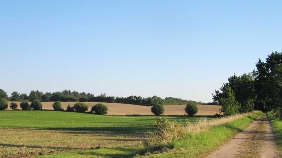 Am Alten Bahndamm zwischen Bad Segeberg und Blunk liegt unser Hotel